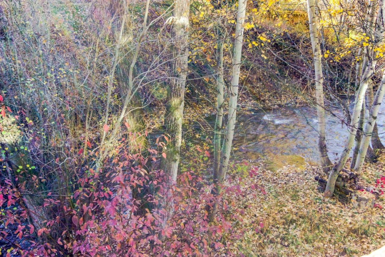 Bridgepoint Condo On Trail Creek Ketchum Εξωτερικό φωτογραφία